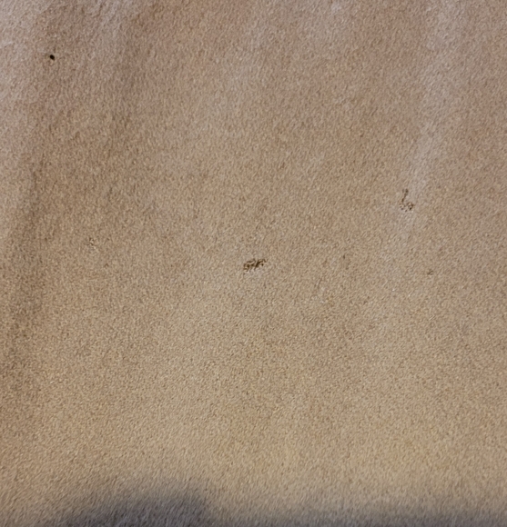 NWT/ Men's Schneiders Cashmere Coat Beigh NWT - Picture 14 of 16